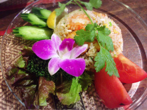 o0480036013830295788